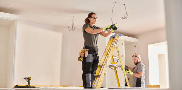 Best Electrical System Inspection  in Roseau, MN