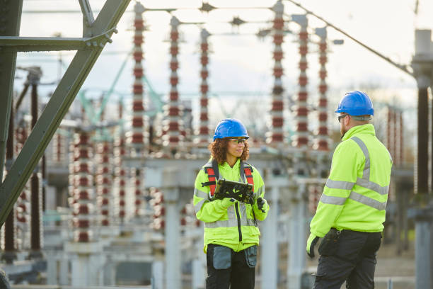 Best Industrial Electrical Services  in Roseau, MN
