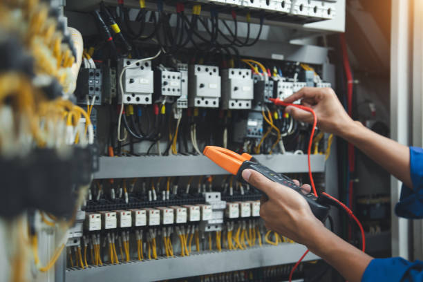Best Electrical Troubleshooting Services  in Roseau, MN