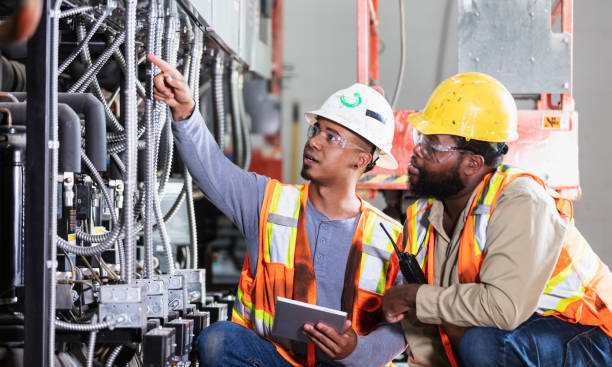 Best Electric Panel Repair  in Roseau, MN