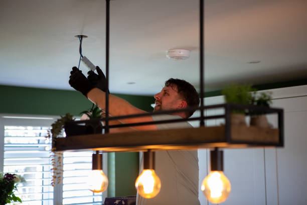 Best Licensed Electrician  in Roseau, MN