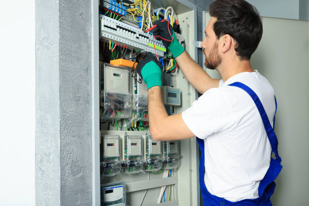 Best Electrician for Home Renovation  in Roseau, MN