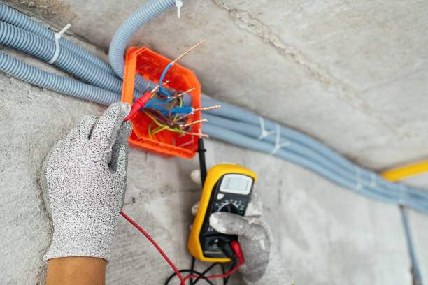 Best Affordable Emergency Electrician  in Roseau, MN